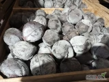 Sprzedam czerwoną kapustę marketową z nalotem 1-3 kg. i większą z nalotem. Bez oznak chorób i robaka. 