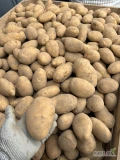 Kupię ziemniaki żółte kaliber 50+ 55+ opakowanie bigbag tylko towar gruby zdrowy nieobity z jasnej ziemi minimum 22 tony 
