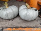 Sprzedam dynie 