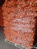Sprzedam cebulę żółta ladna złota łuska kal 5+worek 10kg. Cebula czerwona worek 5kg. Mam też cebulę żółtą na wsadke kal.do 5cm.
