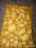 Witam. Sprzedam ziemniaki jadalne Soraya,Queen Anne. Towar z jasnej ziemi, szczotkowane. Możliwość uszykowania każdego kalibru oraz...