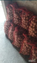 Mam na sprzedaż ziemniaki odmiana gala i bellarosa pakowane w worki 15 kg i sortowane lub luzem  nie sortowane ilość około 60 ton....