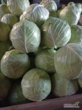 Witam, sprzedam kapustę obierana odm FLEXTON, duże główki, najlepiej kartonbox albo skrzynie, cena do uzgodnienia 