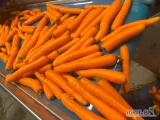 Sprzeam marchew handlową, mytą. Pakowana pod zamówienie, według wymagań klienta. Ilosci całosamochdowe i mniejsze. Zapraszam