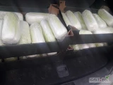 Kapusta pekińska kaliber od 0.5 do 1.5kg opakowanie do uzgodnienia 