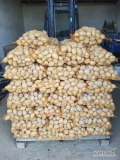 Sprzedam 60 worków ziemniaków odmiany soraya. Kaliber 50+, towar twardy i nie porośnięty. Możliwe większe ilości i transport....