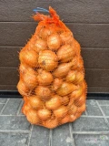 Cebula corrado kaliber 5+, odbiór z gospodarstwa lub dowóz. Cena 12zl worek 15 kg 