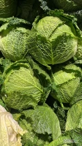 Sprzedam piękną kapustę włoską 1-2,5 kg. Ilości paletowe. tel 503 10 98 98