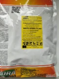 WHITE OPERA F1( j.250 000n, kal.2.0-2.75) nasiona cebuli BIAŁEJ firmy Cora Seeds oferuje GEPWEG dystrybutor nasion. Dostawa gratis....