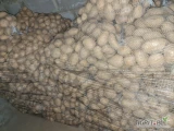 Sprzedam ziemniaki jadalne catania 50/ 55+