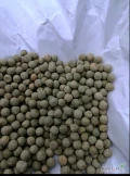 Sprzedam groch zielony  czyszczony. 