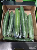 Sprzedam ogórka foliowanego z Hiszpanii w kartonie po 4.5 