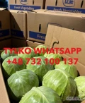 Kup kapustę w hurtowych cenach w Polsce