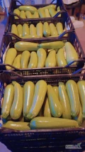 We offer Macedonian courgette to supply Polish importer/buyer for the season mid Apr-Jun 2025.