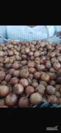 Witam sprzedam cebulę przesortowana czysta kaliber 40/50 100 ton zapakowana w big bag zapraszam do współpracy 