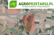 Przetarg na dzierżawę 59,75 ha gruntu rolnego – RIIIa, RIIIb, RIVa, RIVb, LsIV