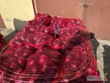 Sprzedam bardzo ładną , błyszczącą cebulę czerwoną. Rozmiar 5-9cm. Pakowana w worek 5 kg