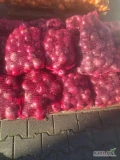 Sprzedam cebule czerwona pakowana worek 5kg,10kg,15kg robiona na 3sorty 
