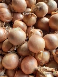 Sprzedam  bardzo ładną cebulę w worku kaliber I cena do uzgodnienia ilości tirowe i paletowe 