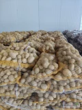 Witam sprzedam ziemniaki Soraya od 5 kaliber zapraszam do kontaktu 