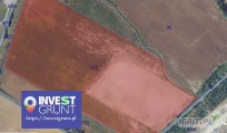 [18,38 ha Giebnia] przetarg nieograniczony na 9-miesięczną dzierżawę gruntów rolnych [woj. kujawsko-pomorskie] użytek...
