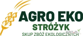 Kupię gorczycę ekologiczną ilości samochodowe CAŁA POLSKA zapraszam do kontaktu 609557276 www.skupagroeko.pl