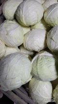 Sprzedam kapustę białą, obrana na biało kaliber od 1 do 7kg, możliwość transportu big bag, skrzynia