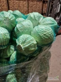 Sprzedam kapustę widoczną na zdjęciach, kaliber 1,5-3,5 kg. 