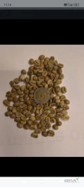 W ofercie sprzedaży jest kawa surowa Robusta screen 18 , kraj pochodzenia Uganda , pakowana w big bagach. Dostępne 18600 kg . Cena 21...