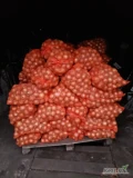 Sprzedam cebulę odmiana Hybelle, kaliber od 5 do 7. Nie fazerowana. W worku lenko 15 kg ilości busowe. Cena w worku 0,80 zł za 1...
