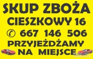 Kupię kukurydzę mokrą w cenie 450zł brutto Cieszkowy 16 ; 25-506 Czarnocin 667146506