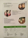 NASIONA cebuli ozimej firmy MARALDI. Odmiany: Top Star F1 , czerwona Primula Rosa (j.250 000n). Dostawa gratis. Płatność przy odbiorze....