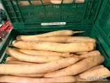 Sprzedam białą rzepę / rzodkiew. Możliwy transport. 