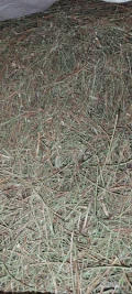 Sprzedam pociętą słomę z dziurawca około 400-500kg. Ładna zielona wolna od chwastów 