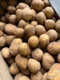 Sprzedam ziemniaki jadalne okrągłe oraz podłużne. Fito, odprawa. Kaliber do uzgodnienia 40+,45+,50+...Pakowane do worków szytych 10kg...