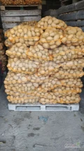 Sprzedam ziemniaki SORAYA . Ziemniak ładny z jasnej ziemi