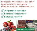 Specjalizuję się we wdrażaniu procesów naprawczych i optymalizacyjnych dla przedsiębiorstw przetwórczych i produkcyjnych z branży...