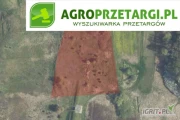 Przetarg na dzierżawę 2,05 ha gruntu rolnego – RII, RIIIb, RIVa, ŁIII, ŁIV, PsV