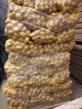 Sprzedam ziemniaki odmiana Vega 175 worków.  