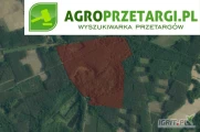 Przetarg na dzierżawę 12,40 ha gruntu rolnego na czas nieokreślony – RIVa, RIVb, RV, RVI, ŁIV, ŁV, ŁVI, PsV, PsVI