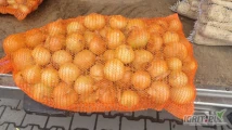 Cebula worek 10 kg kaliber 45-80 ilości paletowe 
