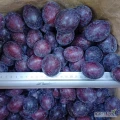 Firma Chłodnie Gomar Sp. z o.o. z siedzibą w Radomiu sprzeda mrożoną śliwkę węgierkę z pestką.