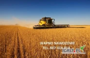 WAPNO NAWOZOWE -WĘGLANOWE Z KOPALNI WAPIENIA MORAWICA 