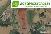 [ZAKOŃCZONE] Przetarg na dzierżawę 42,20 ha gruntu rolnego na 10 lat – RIIIb, RIVa, RIVb, ŁIV, PsIII, W, N