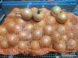Sprzedam cebule w jasnej łusce kaliber 45+ duże ilości cena i pakowanie do uzgodnienia