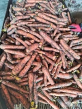 Sprzedam marchew brudną, opakowanie karton, cena50 gr/