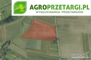 Przetarg na dzierżawę 14,89 ha gruntu rolnego na 1 rok – RII, RIIIa, RIIIb, RIVa, ŁIV, PsV, PsVI