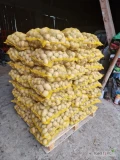 Sprzedam 200 worków ziemniaka odmiany Werbena . Ziemniak pakowany w workach po 15 kg . Kaliber 4+