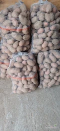 Sprzedam ziemniaki jadalne   Oberon bardzo ładne z jasnej ziemi  worek 5 ,10 ,15 kg lub bigbak  .Ilości busowe lub tirowe