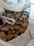 Sprzedam ziemniaki jadalne ilosciokolo 20 ton  pakowane w big bag.